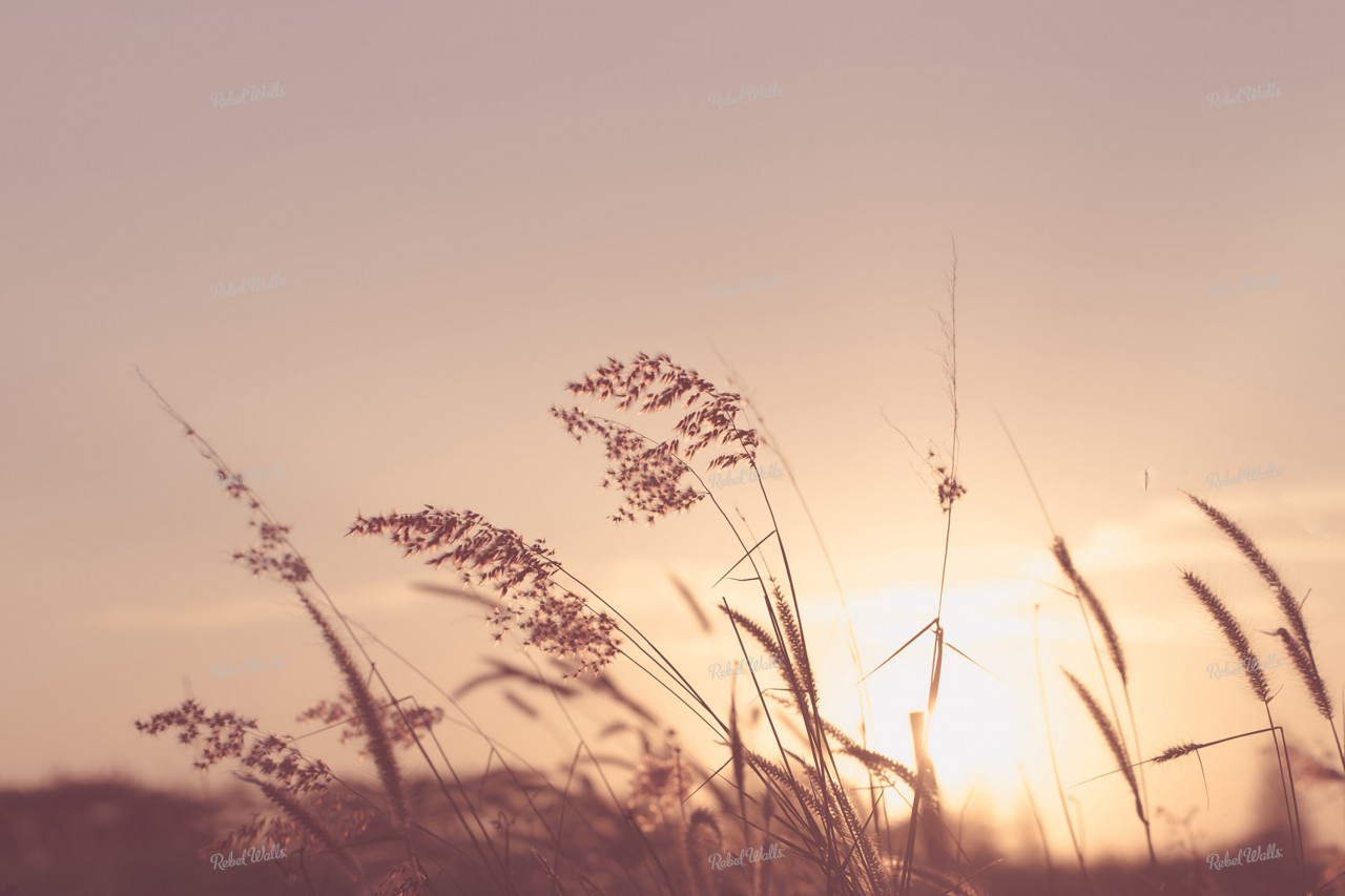 Tapet Pink Sunset, Rebel Walls - 1 | YEO