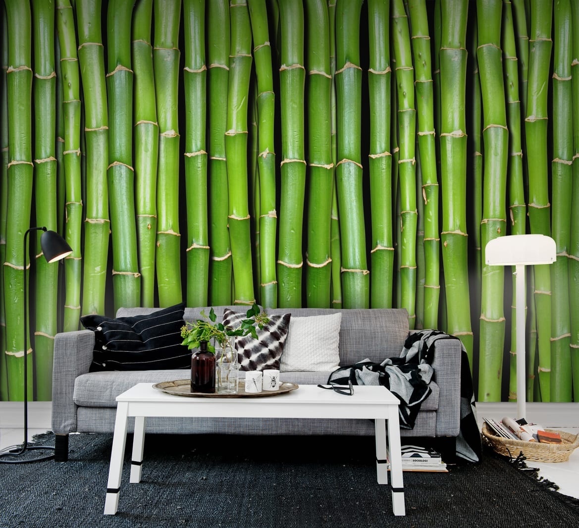 Fototapet, Bamboo, Rebel Walls