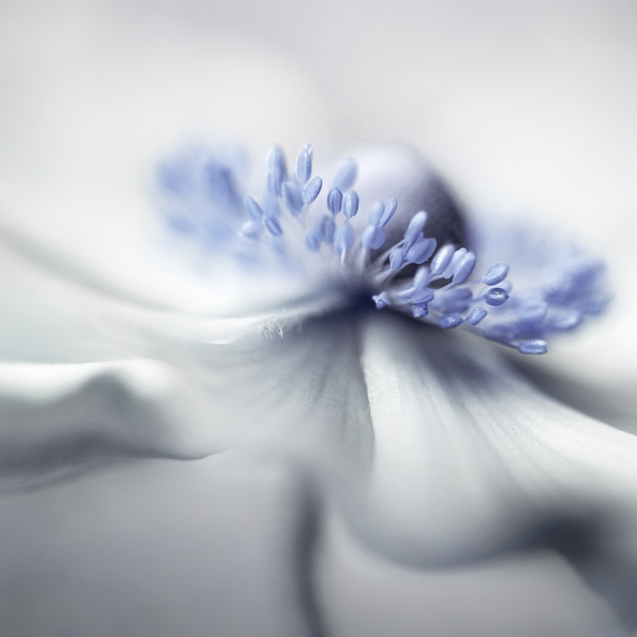 Fototapet, Blue Pastil, Rebel Walls - 2