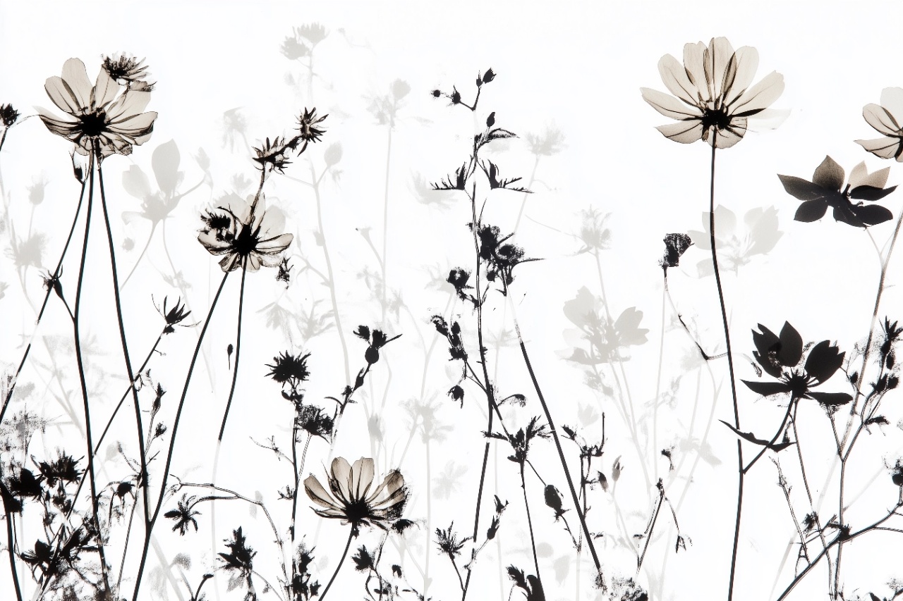 Fototapet Botanic Asahii Nonoka Rêve AN208