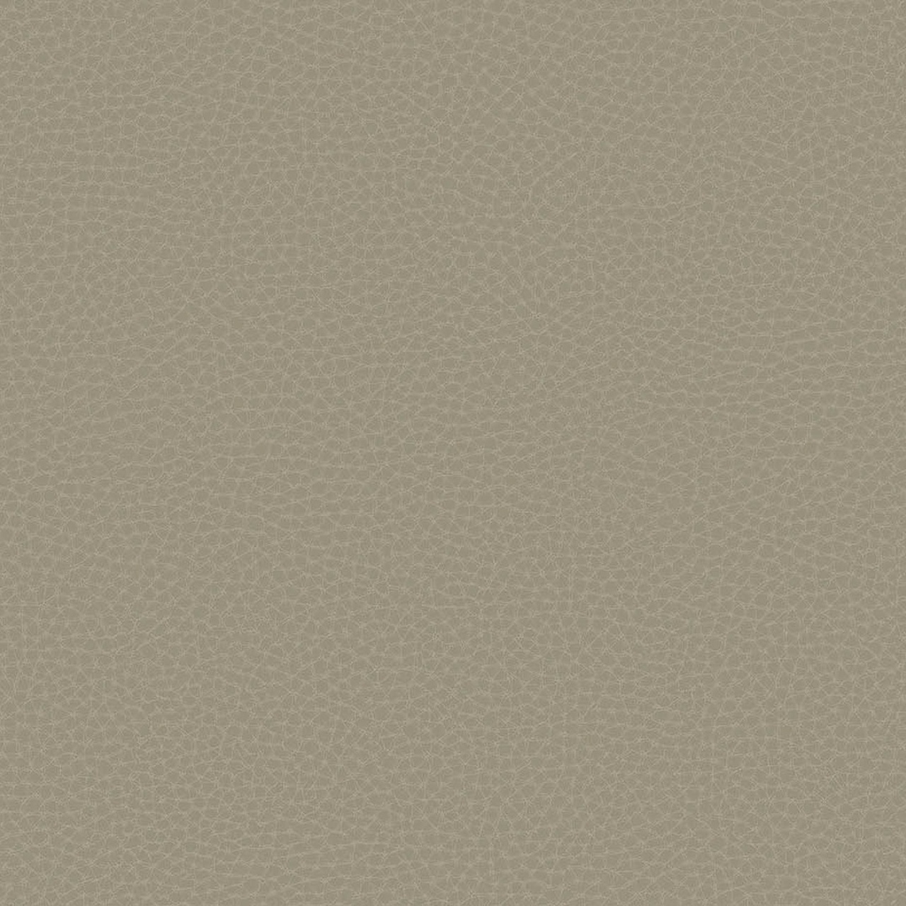 Fototapet, Chic Leather, 64788006, Coordonne