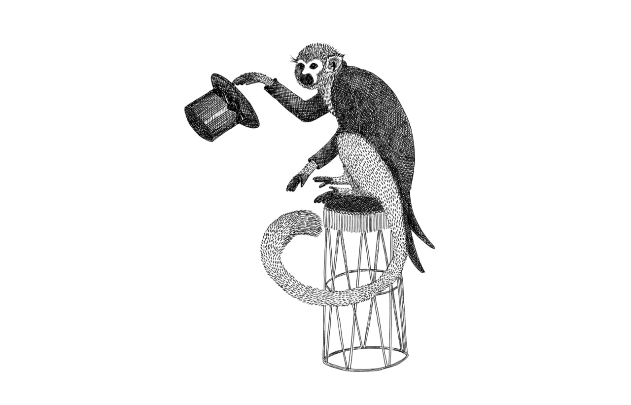 Fototapet, Circus Animal, Mr Monkey, Rebel Walls - 2