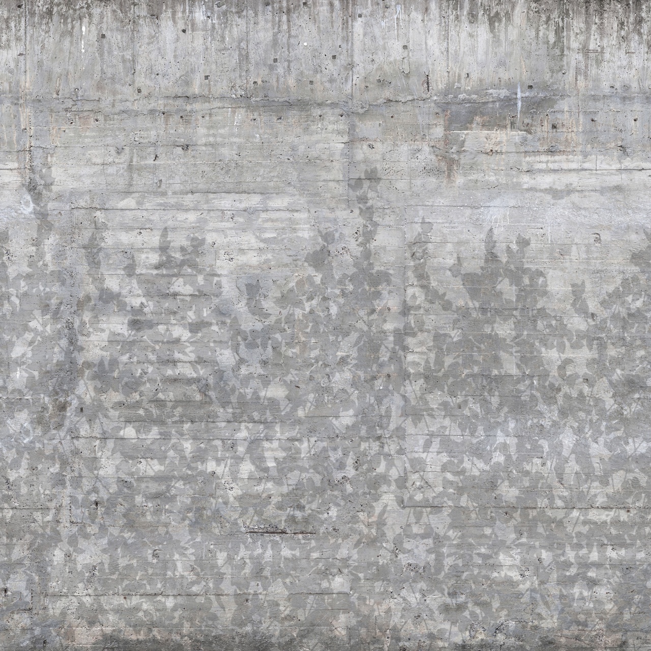 Fototapet, Climbing Clorofyl, Shadow, Rebel Walls - 2