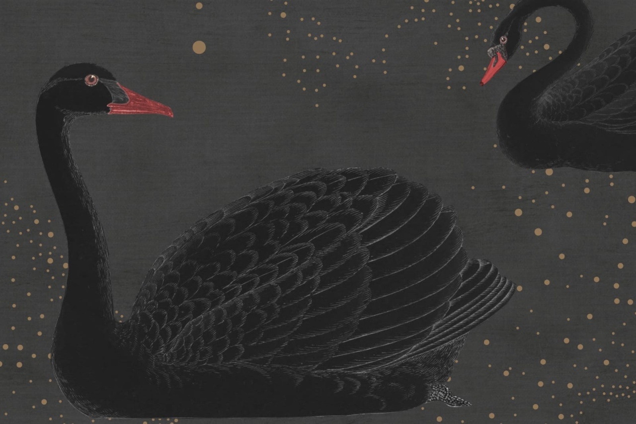 Fototapet, Cygne, Noir, Rebel Walls - 4