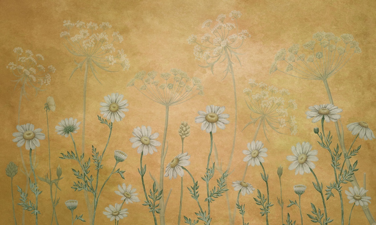 Fototapet Dazzling Daisies - Yellow, Sir Edward - 2