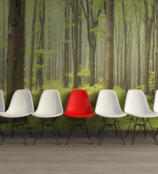 Fototapet, Deciduous Forest, Rebel Walls - 4