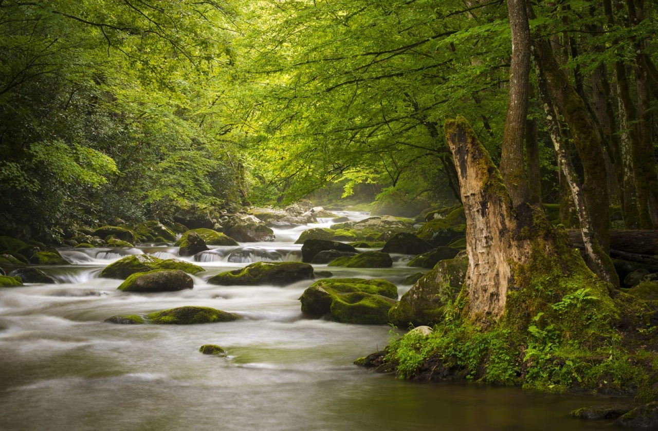 Fototapet, Gentle Flow, Rebel Walls - 2