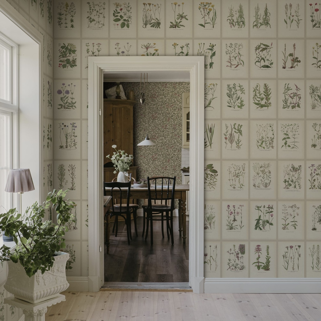 Fototapet lavabil, Botanica, Oat, Sandberg - 3
