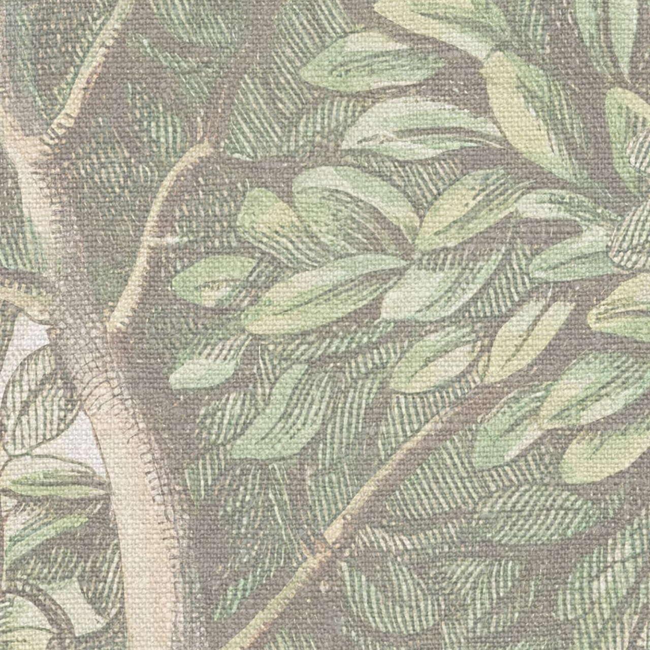 Fototapet lavabil, Charles, Light Green, Sandberg - 4