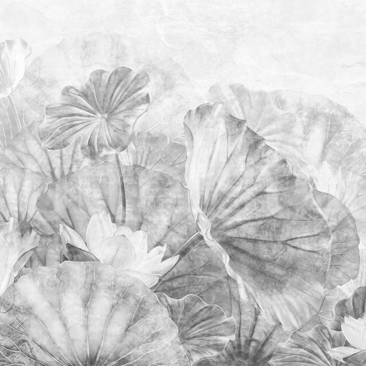 Fototapet, Lotus Leafs, Gray, Rebel Walls - 2
