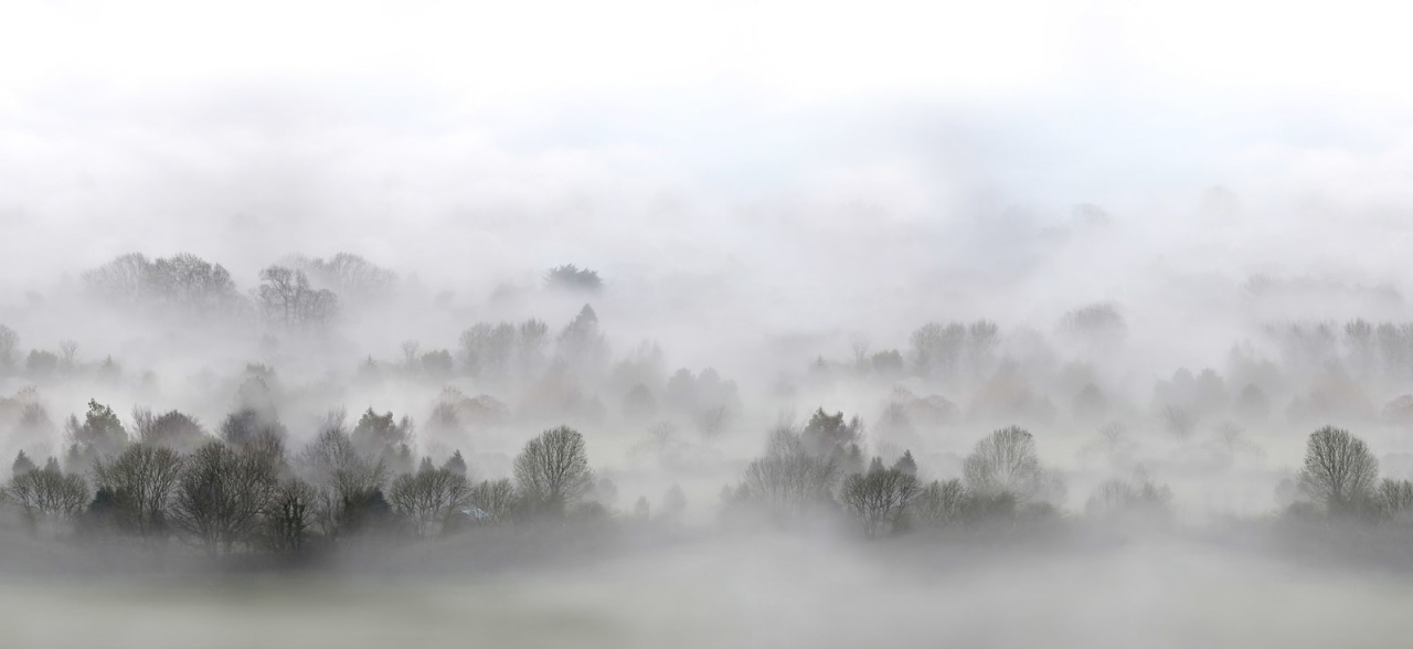 Fototapet personalizat Morning Fog, 248x265cm, Rebel Walls - 2