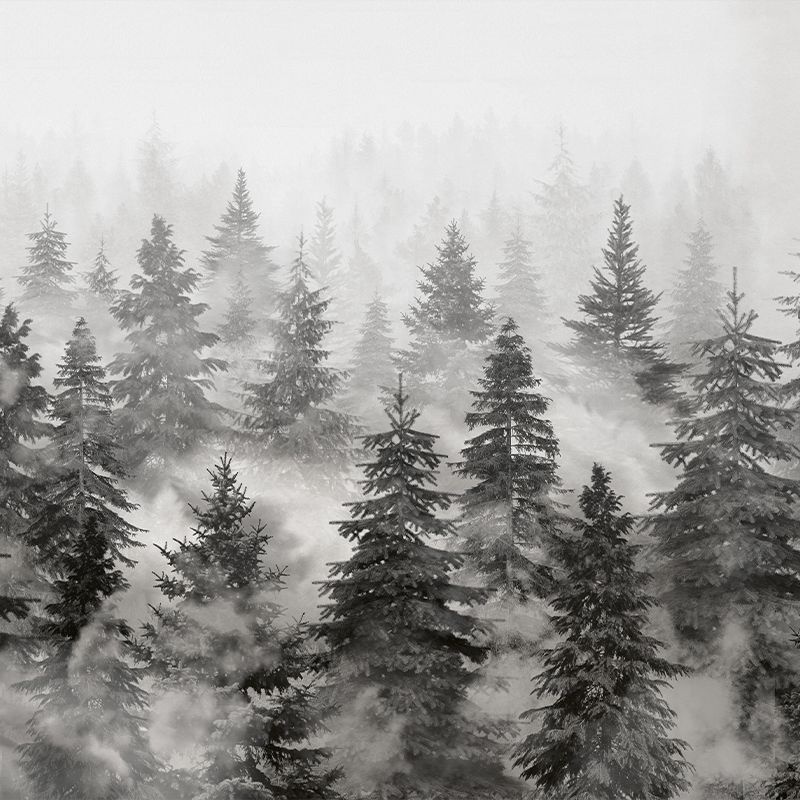 Fototapet Rivian Forest Charcoal, VLAdiLA - 2