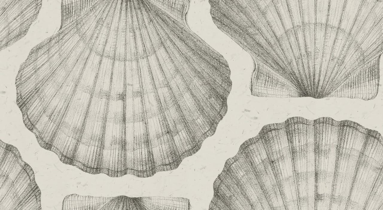 Fototapet, Shells, Sand, Rebel Walls - 2