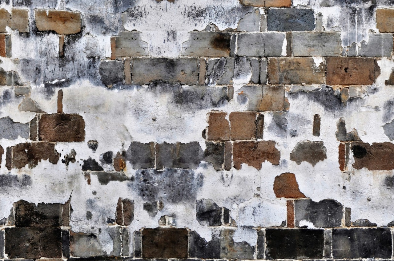 Fototapet, Slurry Wall, Rebel Walls - 2