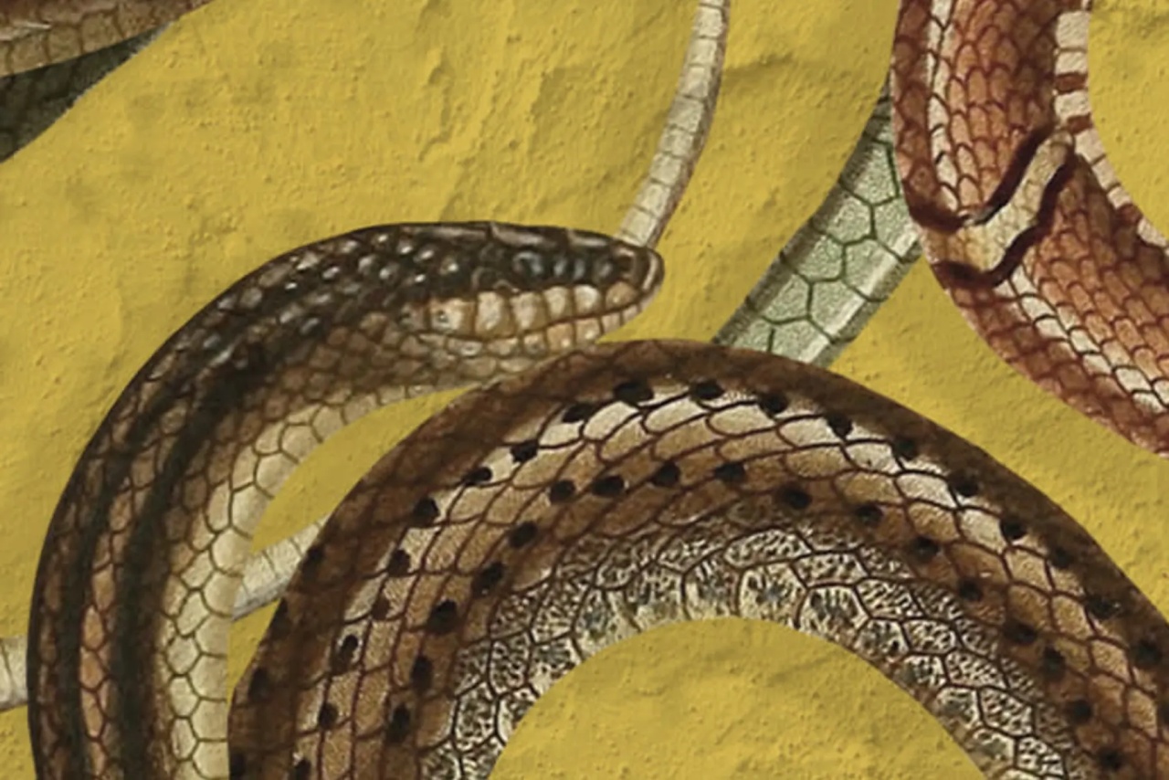 Fototapet, Snakey, Yellow, Rebel Walls - 4