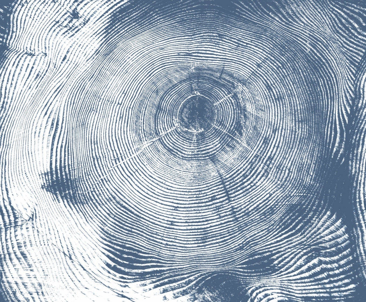Fototapet, Tree Cut, Blue, Rebel Walls - 2