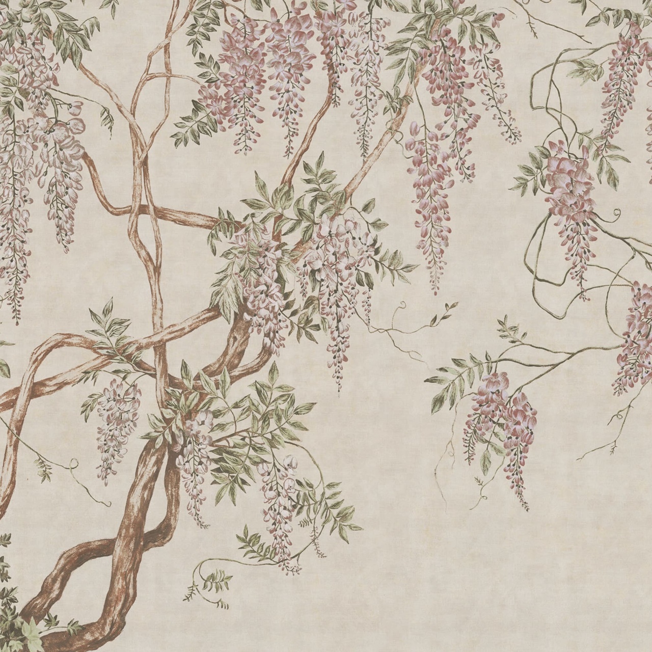 Fototapet, Wisteria Tree, Sand, Rebel Walls - 2