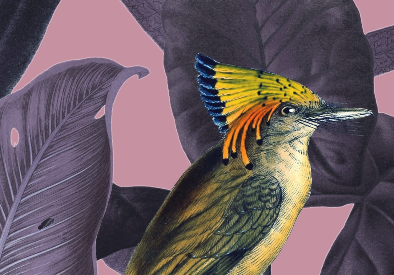 Fototapet, Yellow Bird, Dusk, Rebel Walls - 5