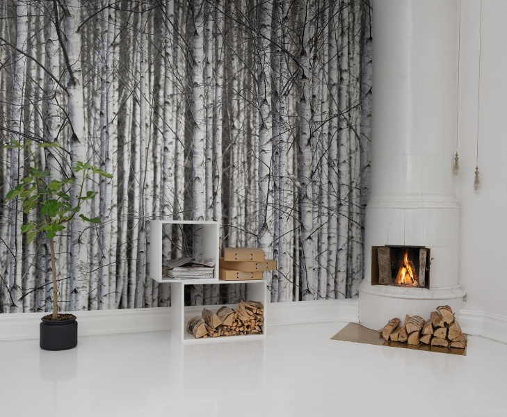 Fototapet, Birch Trunks, Rebel Walls