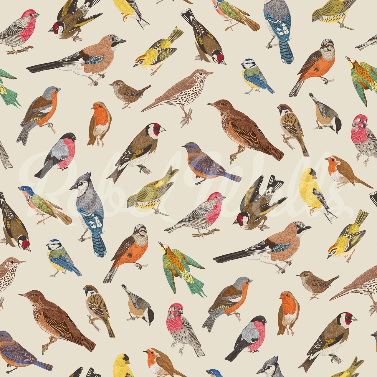 Fototapet, Birdsong Bliss, Multi, Rebel Walls - 2