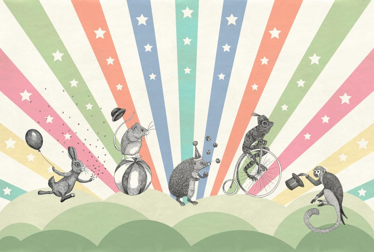 Fototapet, Circus, Rainbow, Rebel Walls - 2