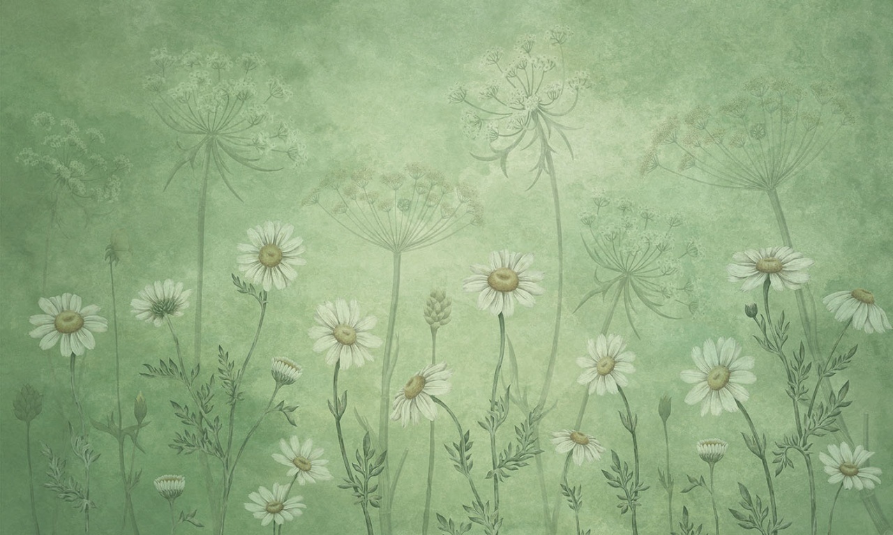 Fototapet Dazzling Daisies - Green, Sir Edward - 2