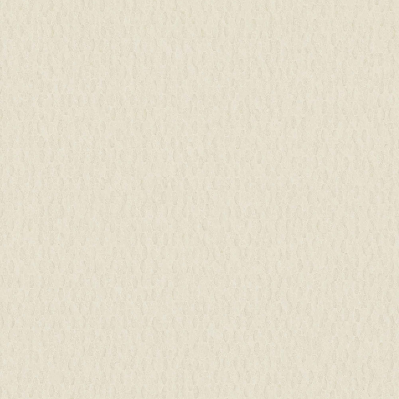 Fototapet, Iguana Bunsen Beige, 6454838, Coordonne