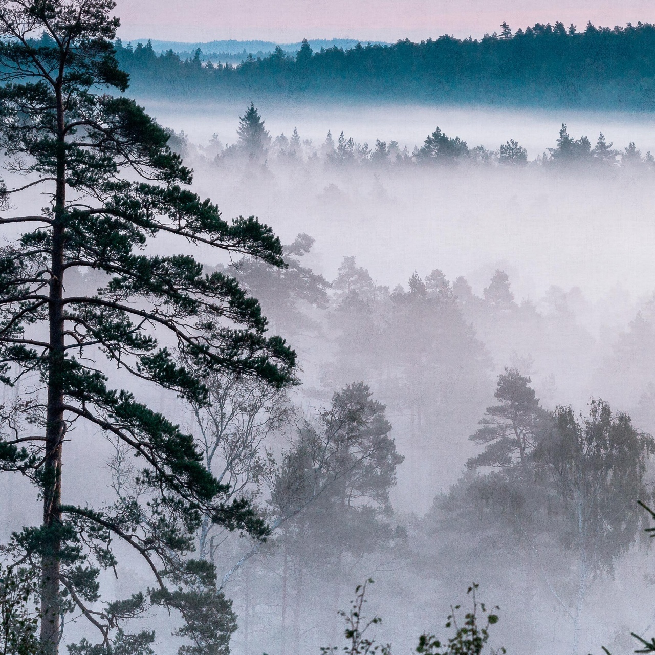 Fototapet lavabil, Marie Mattsson Blå Timmen 9778W — imaginea 5