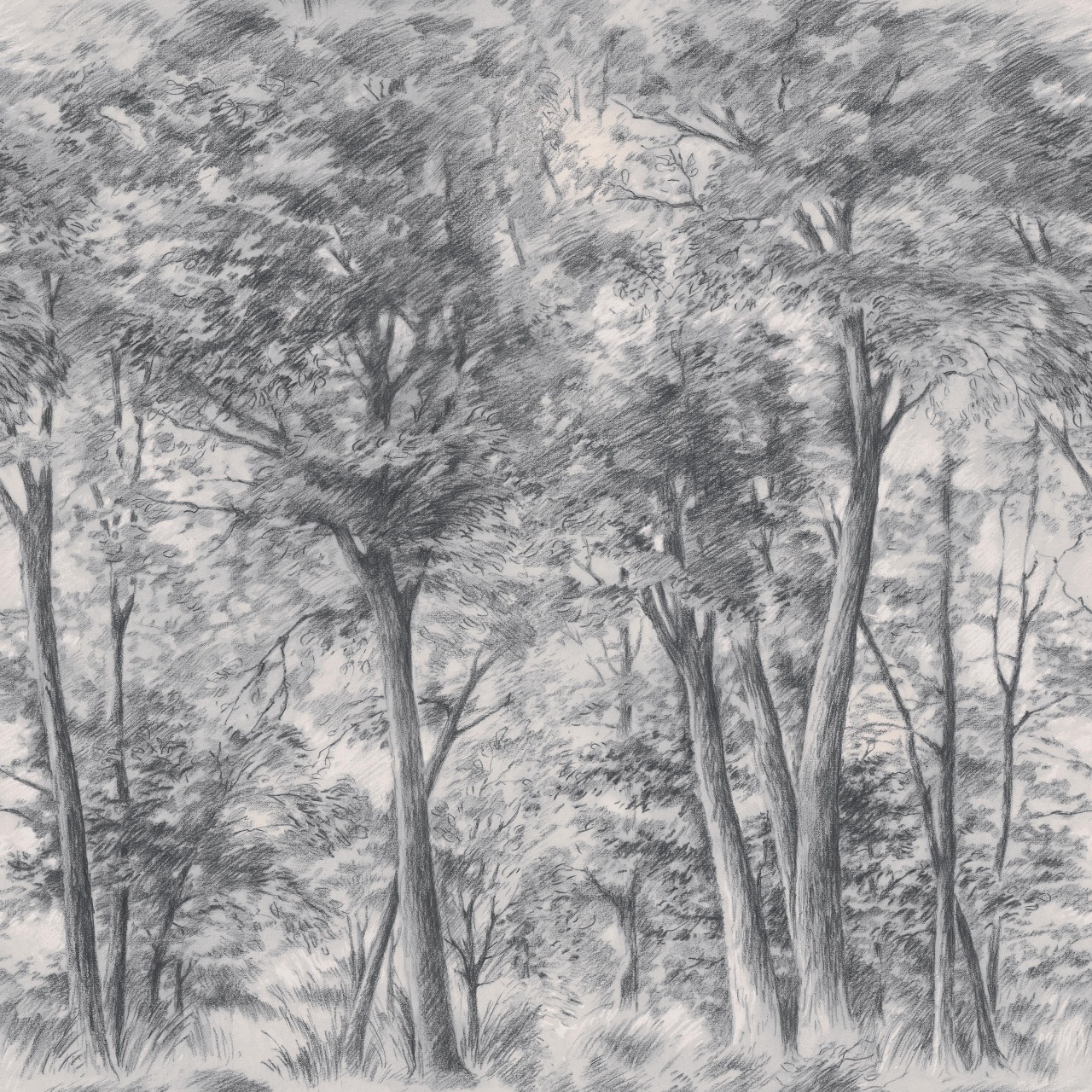 Fototapet lavabil, Sketch of Trees 9630W — imaginea 2