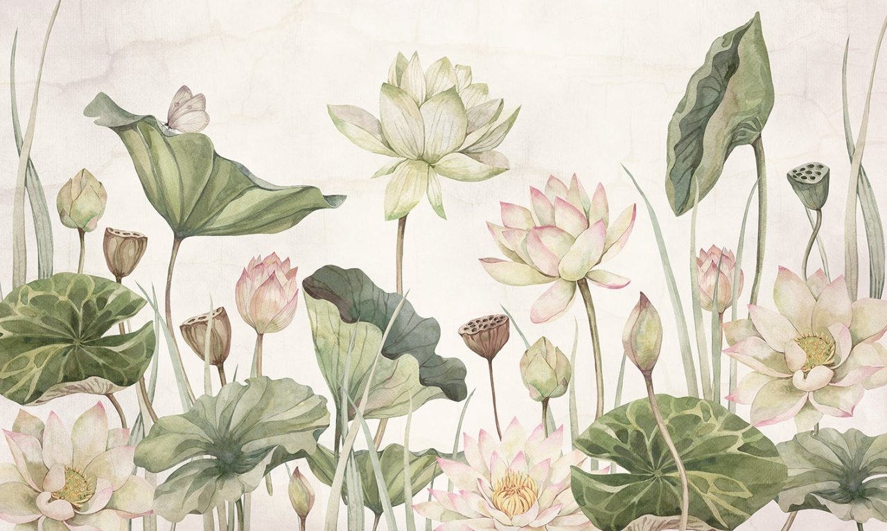 Fototapet Lovely Water Lillies, Sir Edward - 2