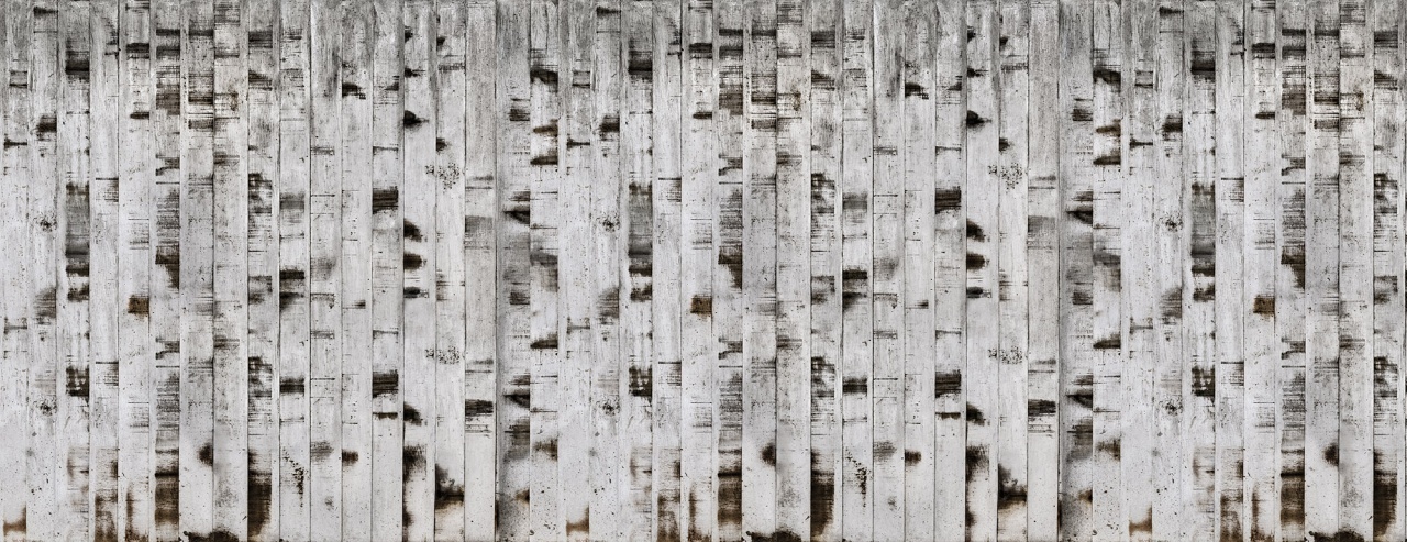 Fototapet, Metal Birch, Rebel Walls - 2