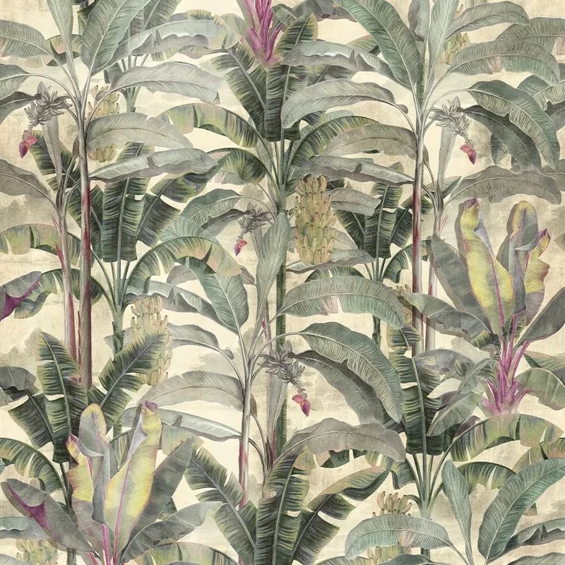 Fototapet Musa verticalia, VLAdiLA - 2