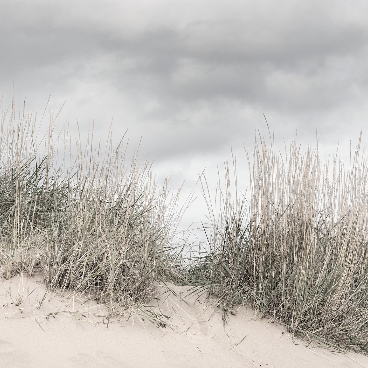 Fototapet, Pale Shore, Rebel Walls - 2