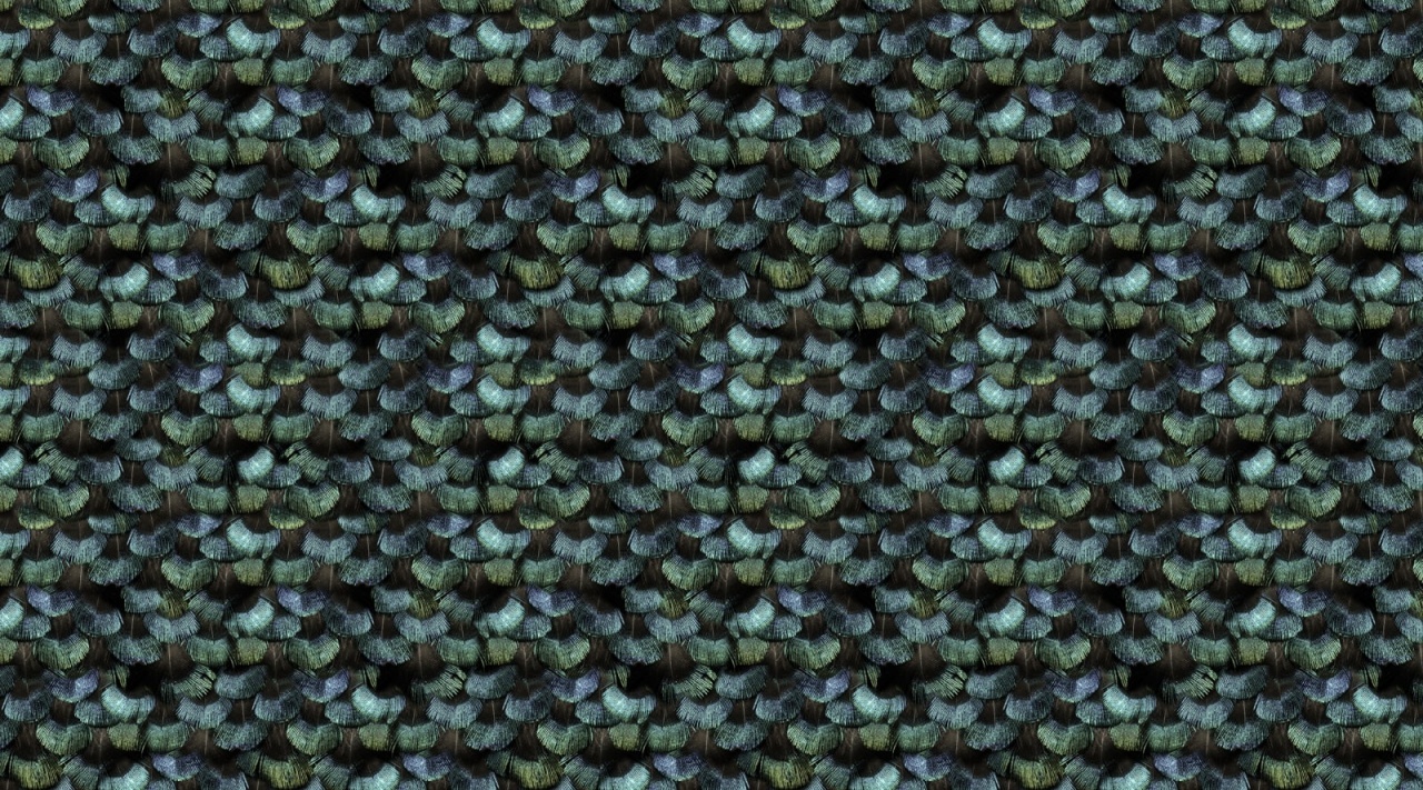 Fototapet, Peacock Plumage, Rebel Walls — imaginea 2