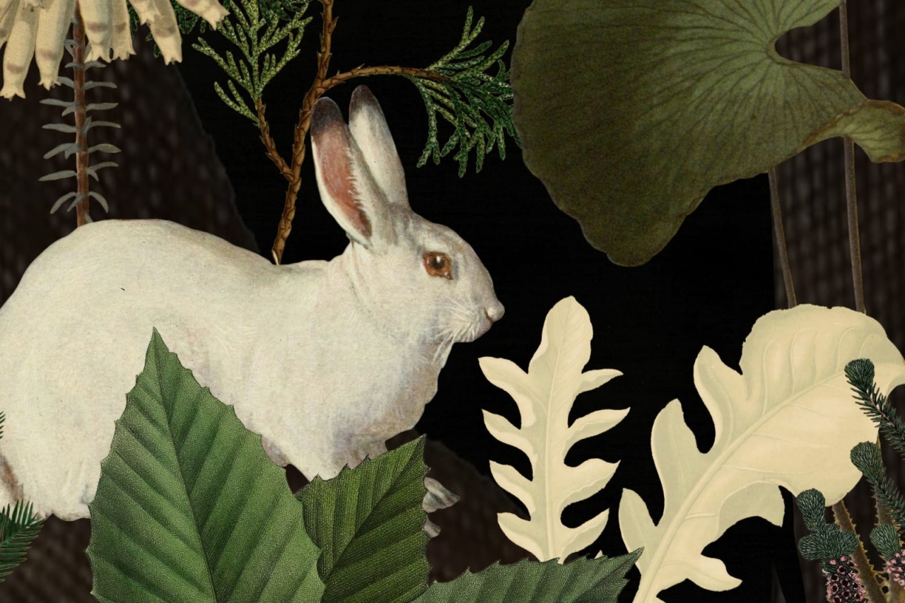 Fototapet, Rabbit Hole, Moss, Rebel Walls - 4