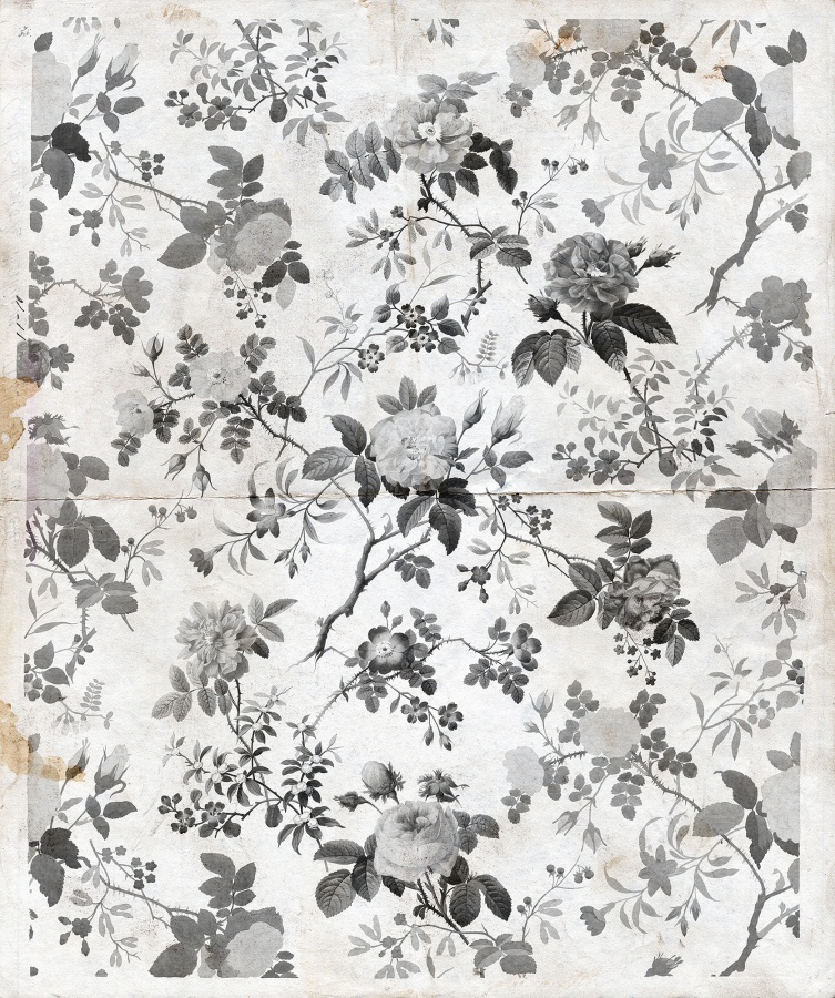 Fototapet, Rosegarden, Black, Rebel Walls - 2