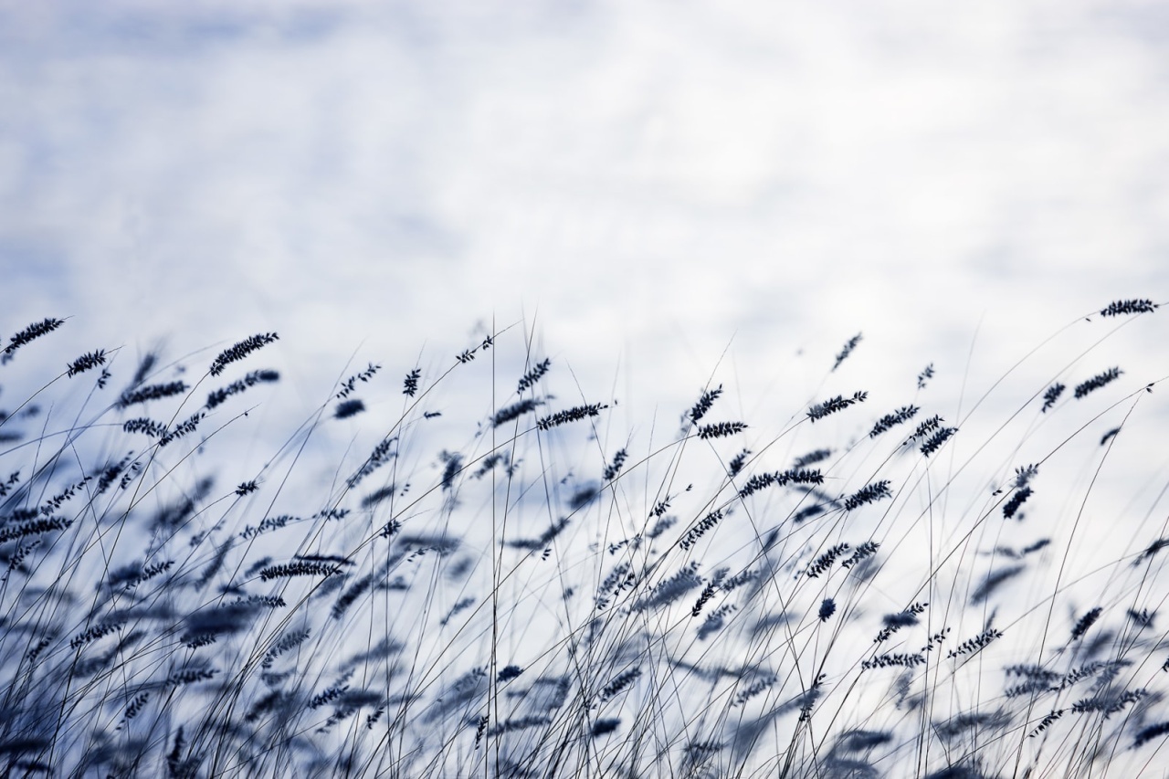 Fototapet, Scandinavian Light, Rebel Walls — imaginea 2