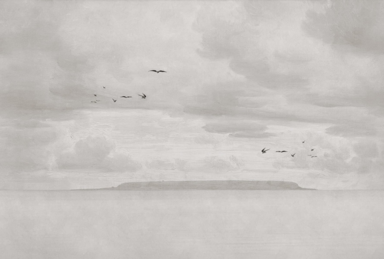 Fototapet, Seabirds, Beige, Rebel Walls - 2