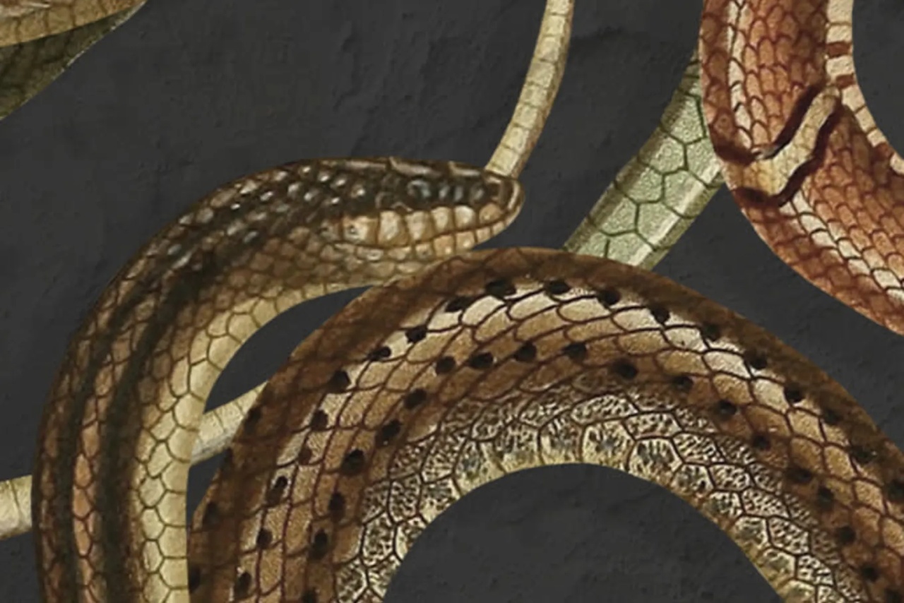 Fototapet, Snakey, Black, Rebel Walls - 4