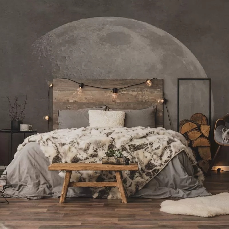 Fototapet Soft side of the moon, VLAdiLA
