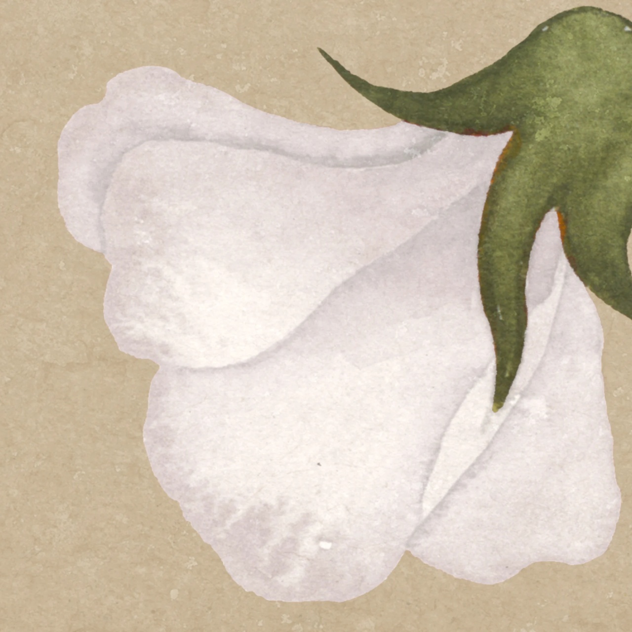 Fototapet, Soft Vines, Beige, Rebel Walls - 4