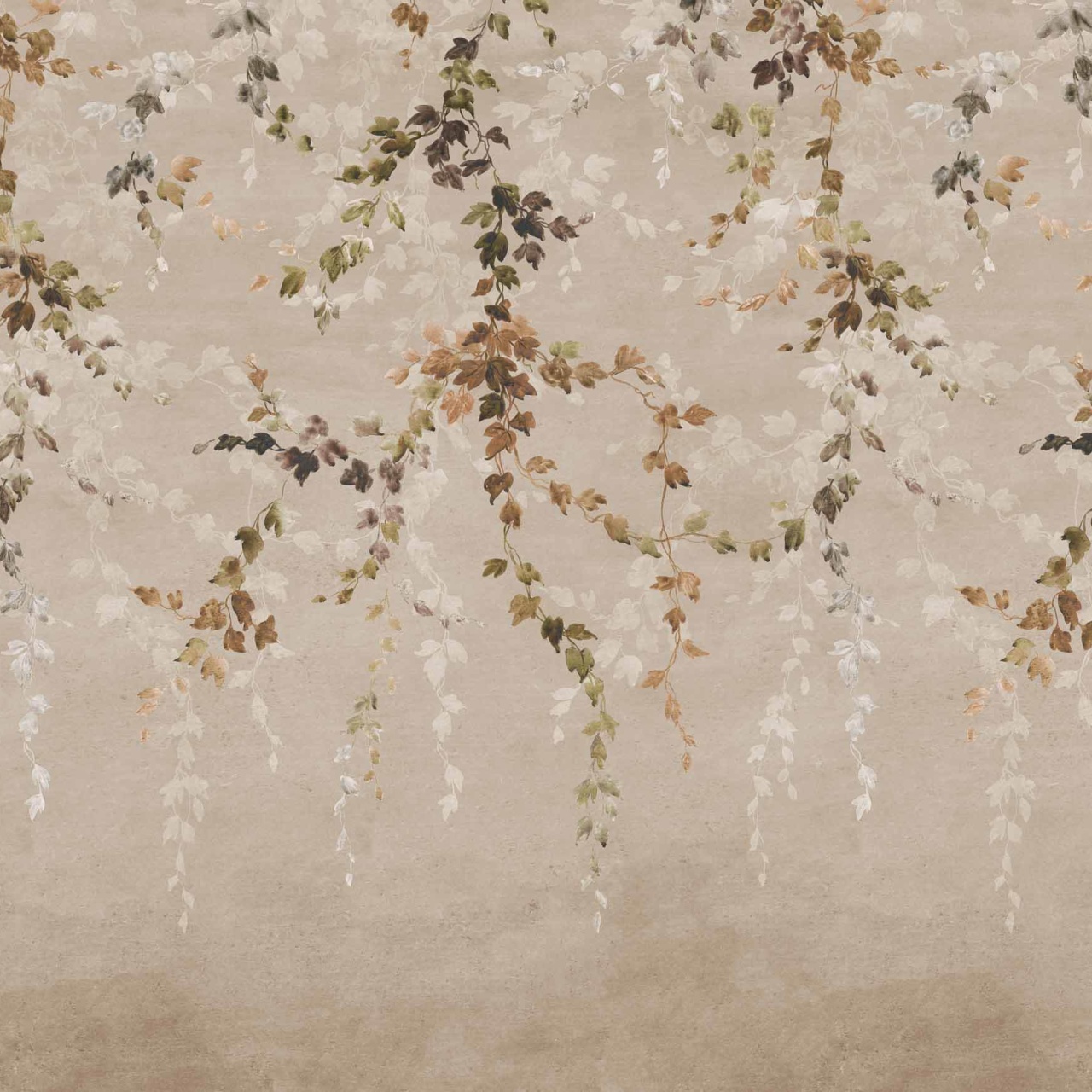 Fototapet Vine Shadow, Taupe, Coordonne - 2