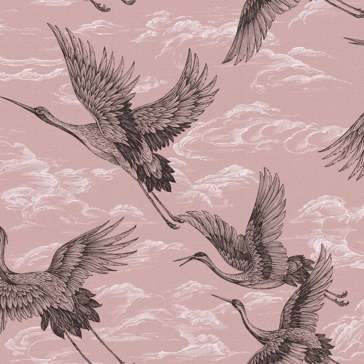 Tapet Imperial Ibis, Rose, Coordonne 5mp / rola - 2