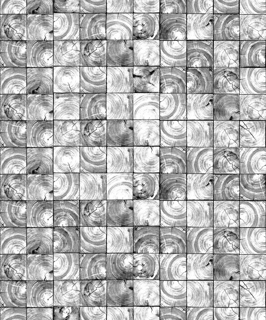 Fototapet, Age Rings, Rebel Walls - 2