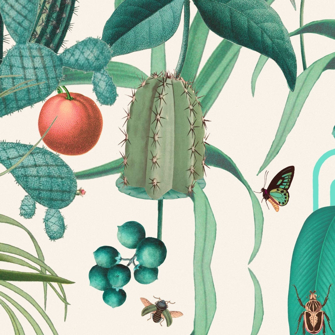 Fototapet, Cuba Jungle, Rebel Walls — imaginea 7