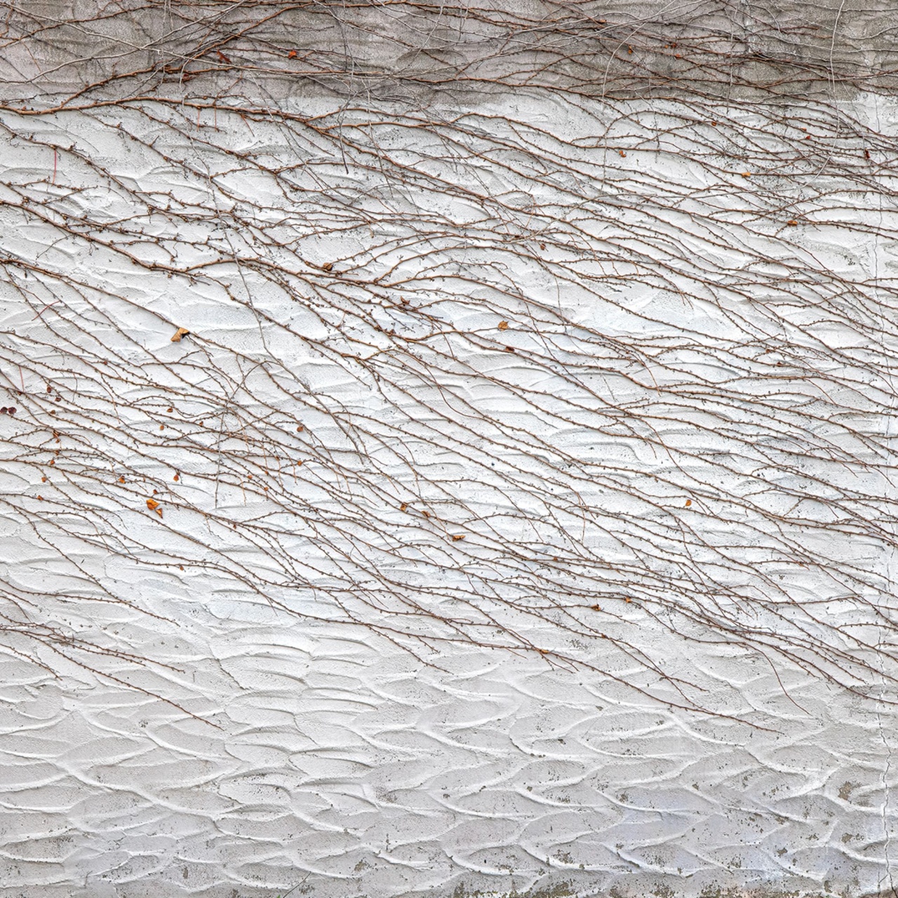 Fototapet, Fade Away, Rebel Walls - 2
