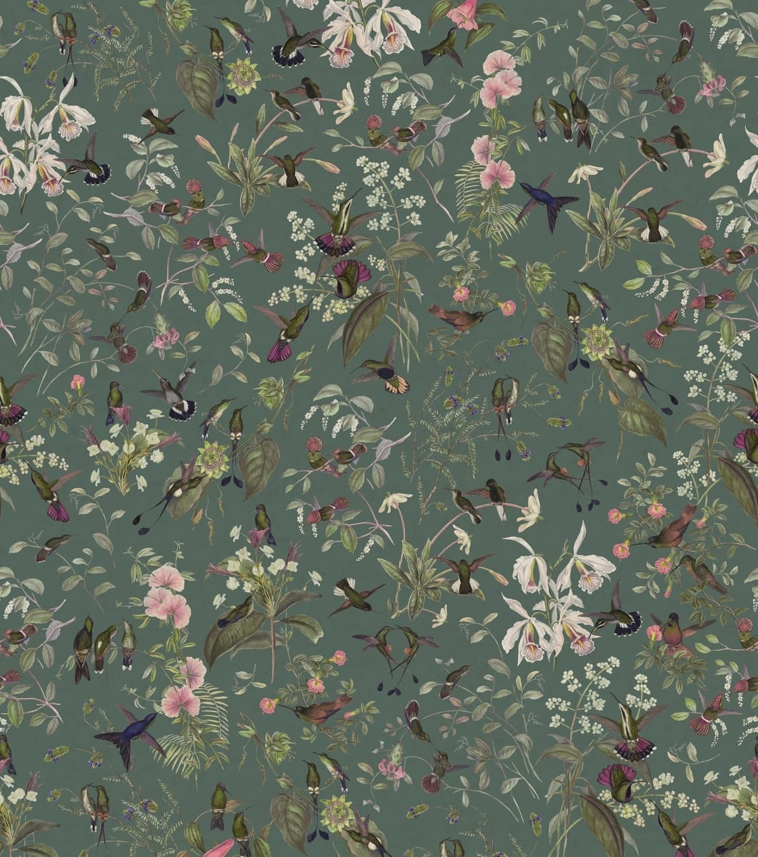 Fototapet, Hummingbird, Lush, Rebel Walls - 2