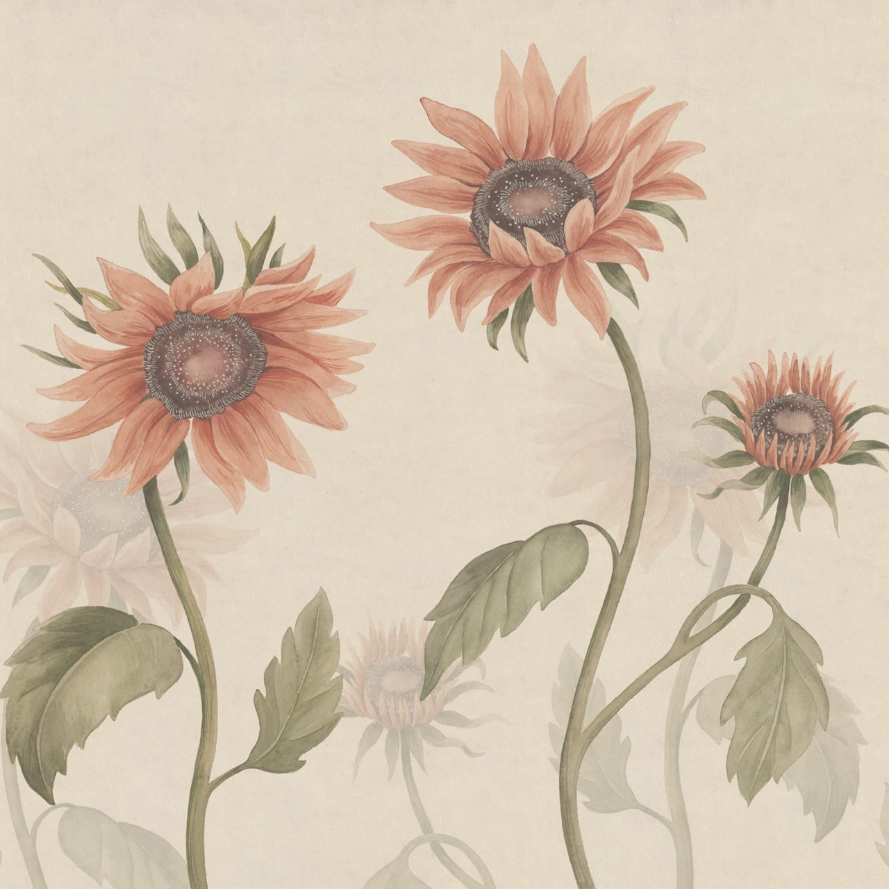 Fototapet lavabil, Sunflowers, Peach, Sandberg - 2