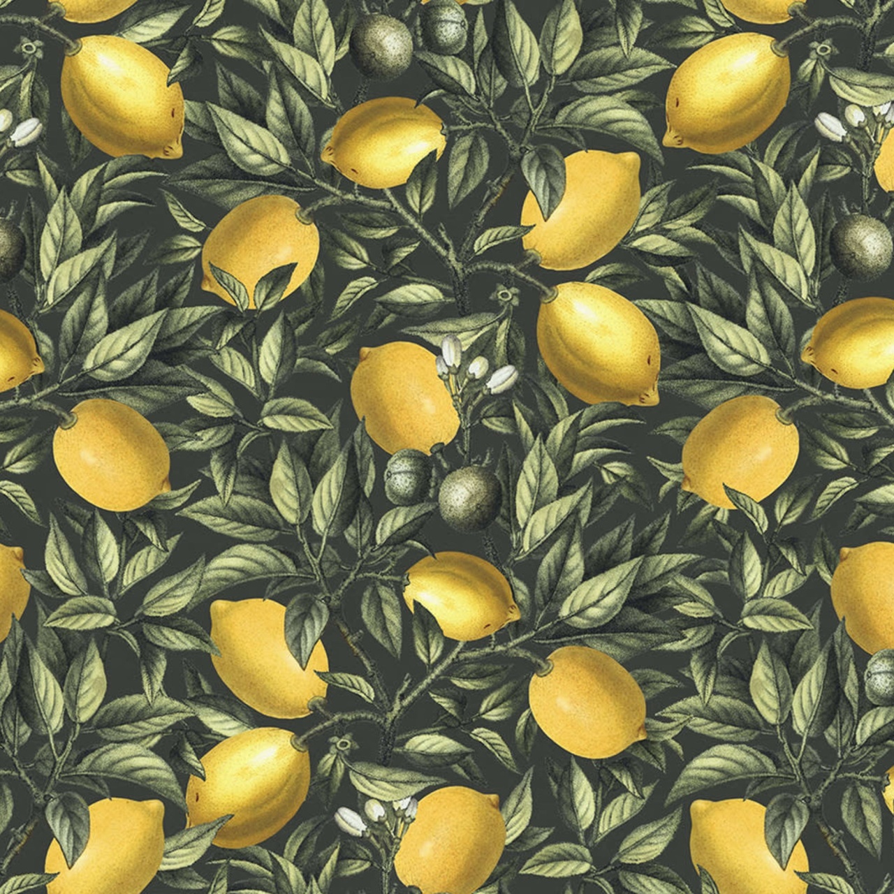 Fototapet, Lemon Tree, Dark Green, Rebel Walls - 2