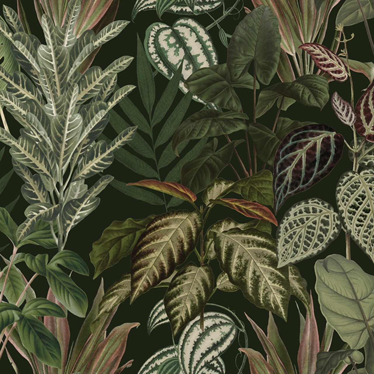 Fototapet, Mischievous Jungle, Lush, Rebel Walls - 2